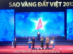 VRG NẰM TRONG TOP 10 SAO VÀNG ĐẤT VIỆT 2013