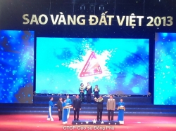 VRG NẰM TRONG TOP 10 SAO VÀNG ĐẤT VIỆT 2013