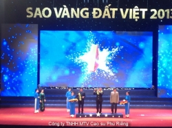 VRG NẰM TRONG TOP 10 SAO VÀNG ĐẤT VIỆT 2013