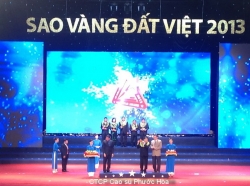 VRG NẰM TRONG TOP 10 SAO VÀNG ĐẤT VIỆT 2013