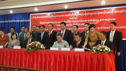 Trao giấy phép hoạt động cho Trưởng đại diện Văn phòng VRG tại Lào