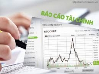 BÁO CÁO TÀI CHÍNH CÔNG TY NĂM 2016 ĐÃ PHÊ DUYỆT